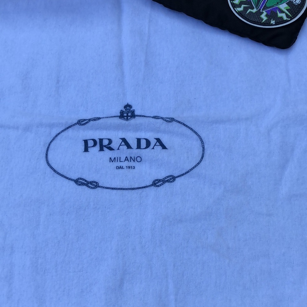 PRADA Limited Edition Double Bag - Picture 15 of 15